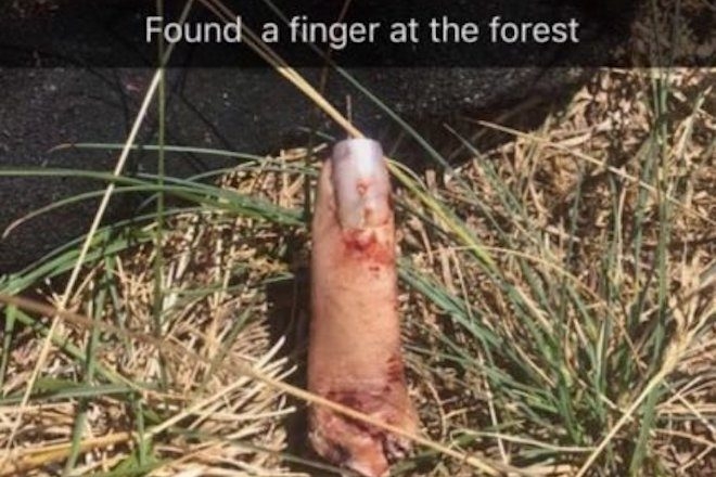 ​L’Electric Forest répond à la rumeur du « doigt coupé » retrouvé sur la pelouse du festival
